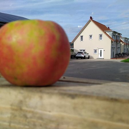 Ferienhof-Dachsberg Wohnung Highlander 베르마팅겐 외부 사진