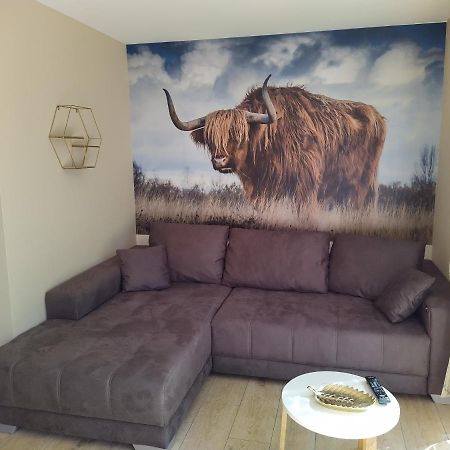 Ferienhof-Dachsberg Wohnung Highlander 베르마팅겐 외부 사진